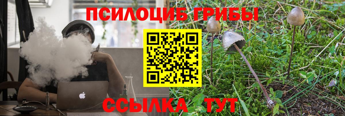 Псилоцибиновые грибы Psilocybine cubensis  Псилоцибиновые грибы Magic Shrooms  Туймазы  Вход с VPN 